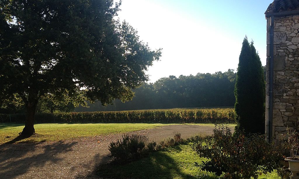 Vineyards - wedding venue