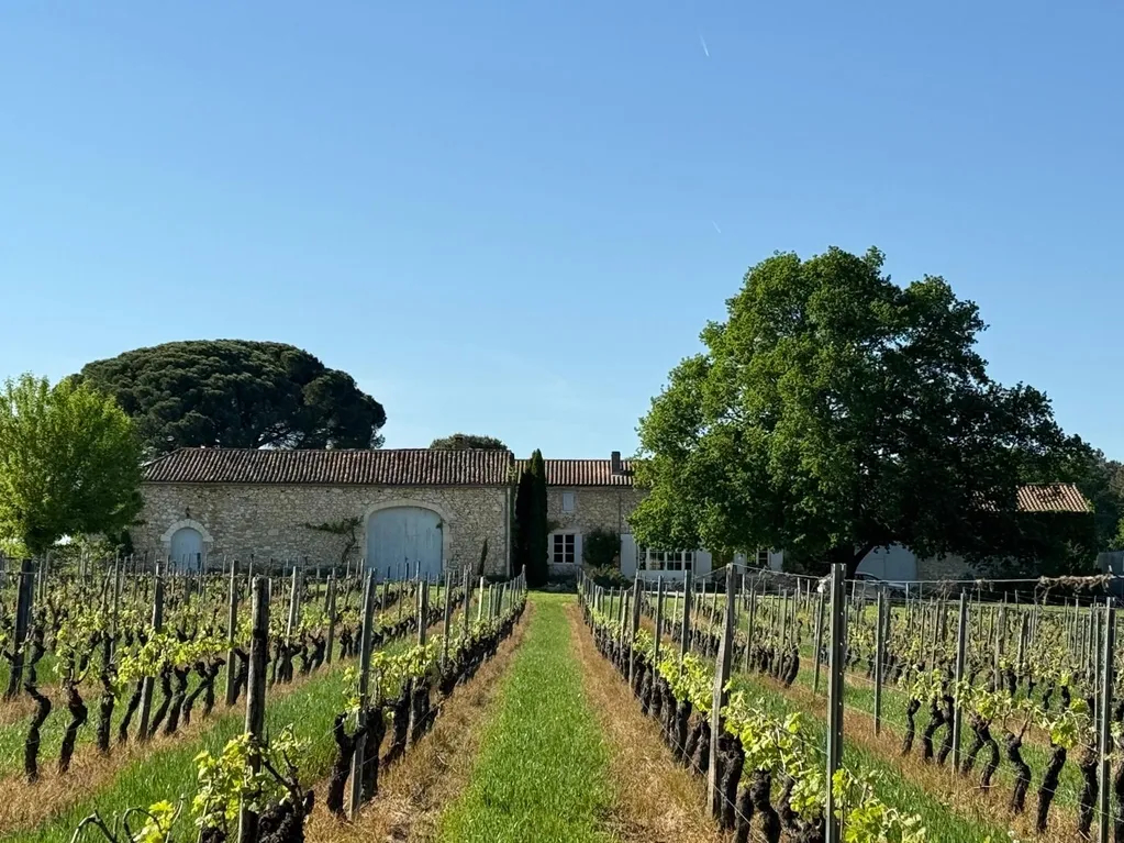 Hautmourleaux - wedding venue - vineyard - South East France